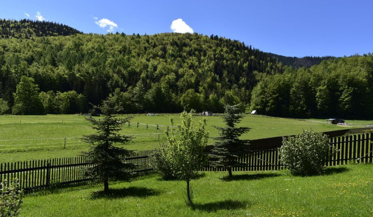 Apartament Rojka Zakopane Eksteriør bilde